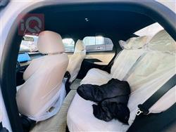 بي واي دي Qin Plus